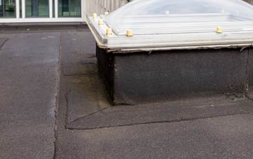 disadvantages of Cwmsymlog flat roofs