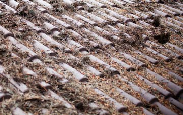 Cwmsymlog roof cleaning companies