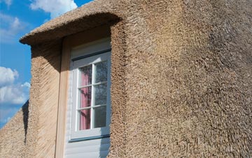 Cwmsymlog thatch roof disadvantages