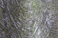 Cwmsymlog fibreglass roof work